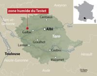 La zone humide du Testet en France