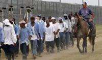 Sklaverei unter anderem Namen - Gefängnisindustrie der USA