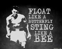float like a butterfly sting like a bee 4