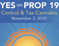 yeson19.png