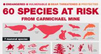 60 species at risk