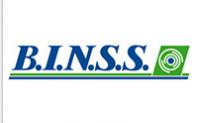 Logo B.I.N.S.S.