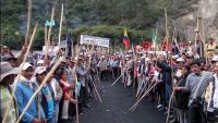 Ende Mai diesen Jahres riefen die Organisationen der Campesinos zu einem nationalen Streik auf. Bei dem Streik, der auch militant agierte, wurden 21 Menschen durch die Riot-Polizeieinheiten der ESMAD umgebracht.