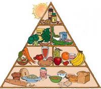 vegane Ernährungspyramide