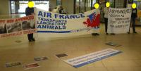 Tiertransporte Tierversuche Air France 2