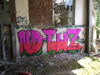 Graffiti gegen den TddZ