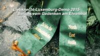 Videobericht LL-Demo 2015