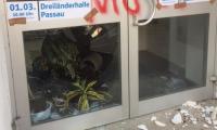 Die Unbekannten haben auch einen Pflanzkübel durch die Glastür geworfen. Foto: CSU Amberg