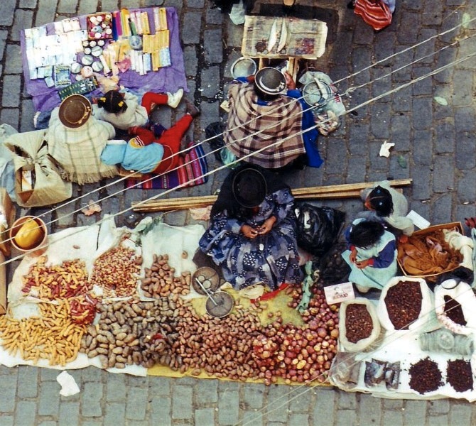 A huge diversity of potato varieties are still grown in the Andes. 