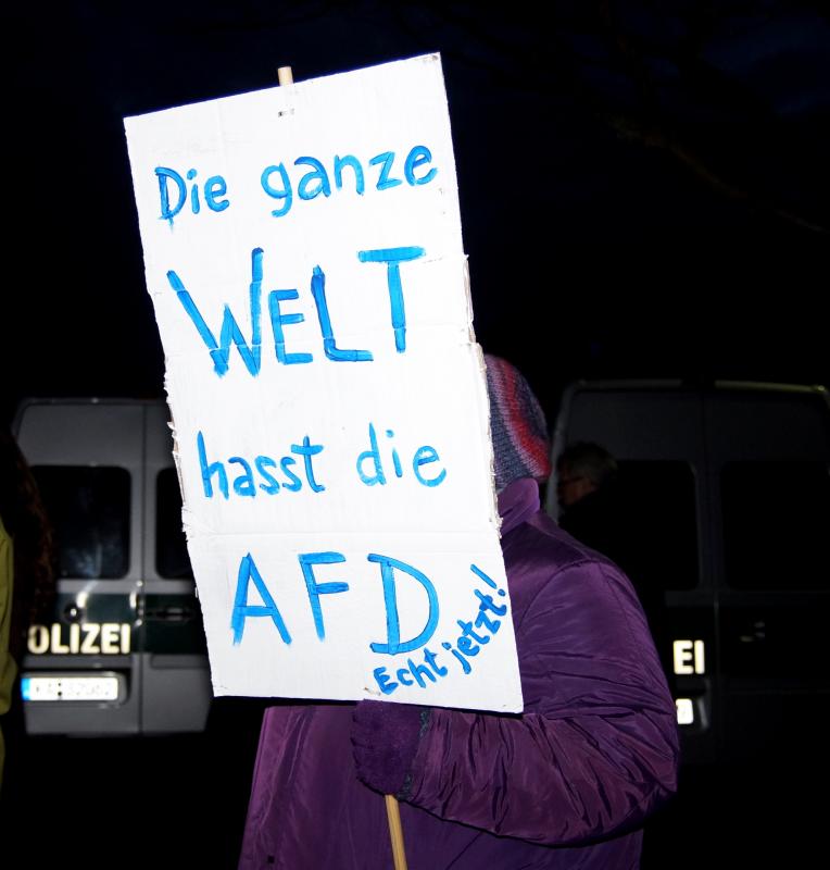 4. (fast) die ganze welt hasst die afd