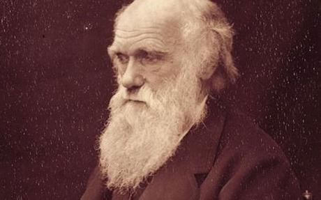 Darwin