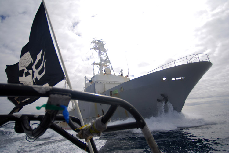 Animal planet Sea Shepherd pirate flag