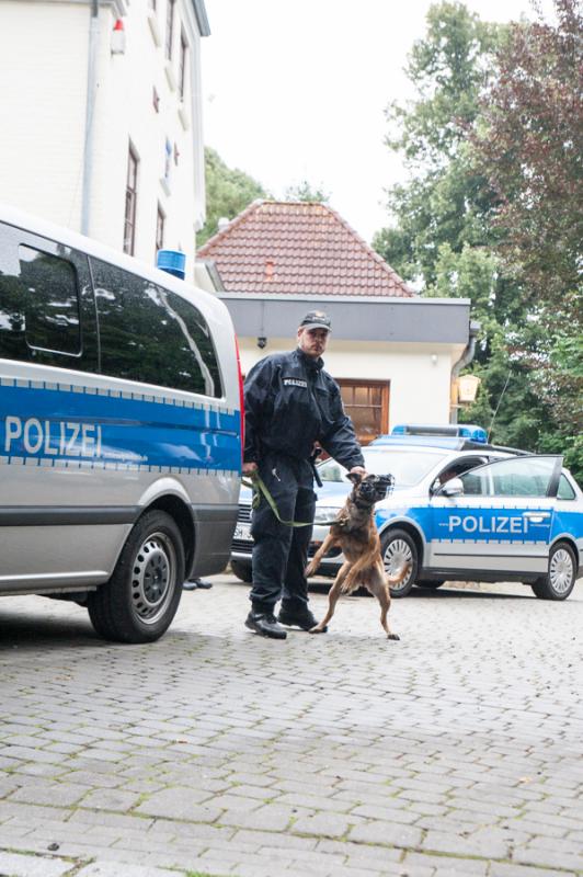 Polizeihund