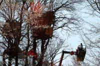 Räumung Hambacher Forst