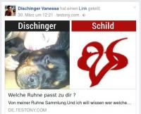 Welche Rune passt zu Dischinger?