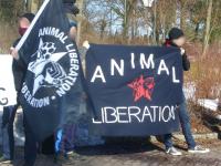 Tierausbeutung stoppen!