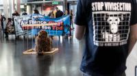 tierversuche und air france stoppen!!!