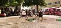 Wasserschlacht auf dem Rathausplatz