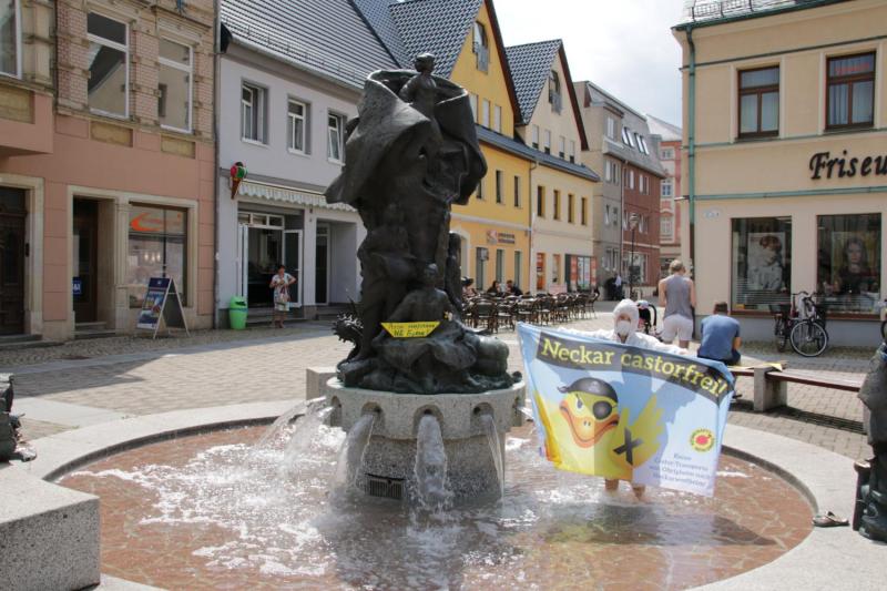 Neckar Castor  - Soliaktion in Döbeln 6