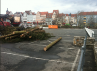 Baumfällarbeiten 12. April 2013, Eichplatz Jena