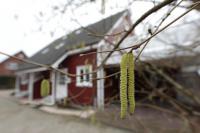 Brandanschlag auf eine Asylunterkunft in Escheburg