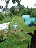 Garten und Beete vom Kirschbaum, Platz für Zelte, Wägen etc.