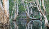 The traditional owners of Olkola country are in talks with a global adventure travel agency about a possible joint venture