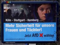 AfD-Unterstützungsplakate in Rheinland-Pfalz