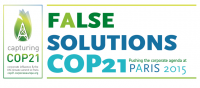 fals solutions COP21