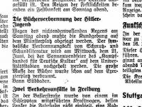 Zeitungsausschnitt aus "Der Alemanne" am 20. Juni 1933 in Freiburg