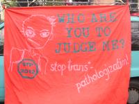 who are you to judge me? stop trans*-pathologization!