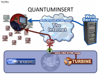 network injection // QUANTUMINSERT