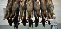 Schlachterei in China: Fleisch wird in Schwellenländern immer beliebter