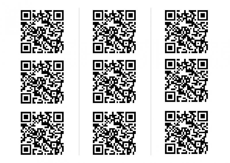 QR-Code-Matrix ohne Text.