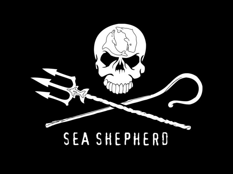 sea shepherd