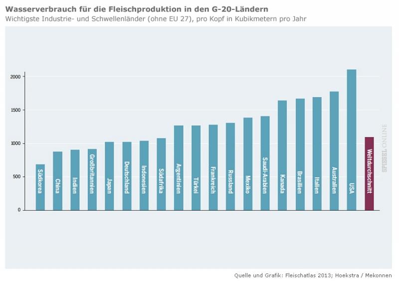 Wasserverbrauch FLEICH G20