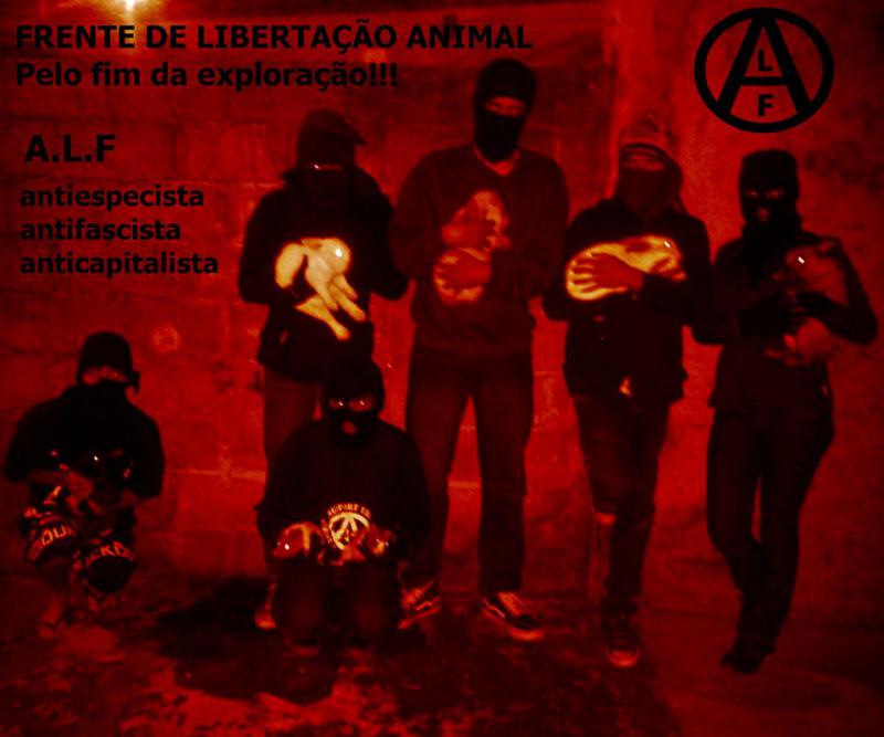 ALF in Brasilien
