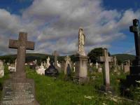 Irischer Friedhof 10