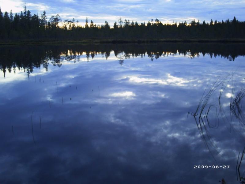 Landscape near Ranua, a community in Finnish Lapland...