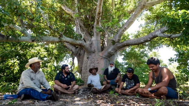 Senior Yawuru men Patrick Dodson, Neil McKenzie and Lalga Djiagween with young Yawuru men discussing ceremonial sites at a meeting tree near Broome.