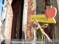 Ilmenau: Besetzung beendet 5