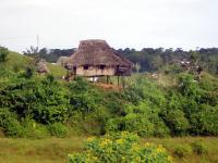 Casa Indigena