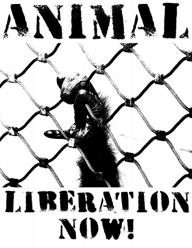 animal_liberation
