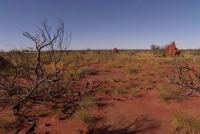Traditional owners have ruled out putting a nuclear dump in the Tanami region (pictured).