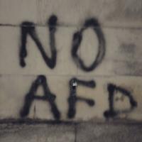 No AfD