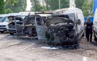 Die Polizei untersucht die ausgebrannten Transporter in Niederschönhausen.  Foto: dpa