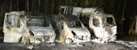 ALF-Brandanschlag zerstört 3 LKW im Schlachthof Krümmel in Bochum - 1