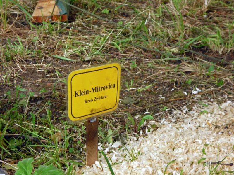 Am Tag der offenen Tür Ende Mai hatten die Gebirgsjäger in Bad Reichenhall Kinder auf ein Miniatur-Dorf zielen lassen. (© dapd/Rabatz)