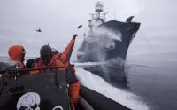 Sea-Shepherd-Angriff.jpg