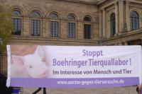 Boehringer Demo.jpg